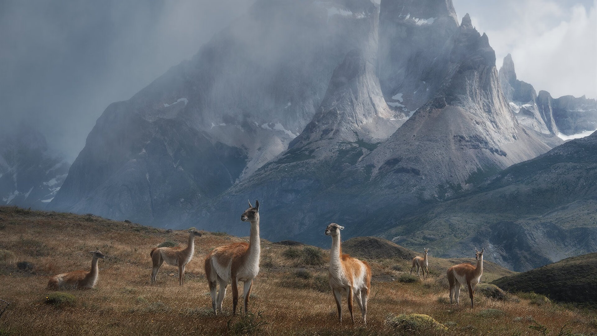 约基奇隐身之战，快船爆冷独行侠背后的关键先生悖论