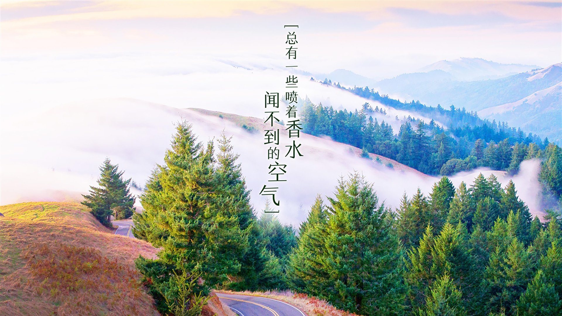 2026世界杯B组,丹麦铁血中场压制桑巴,加维加冕中场新王